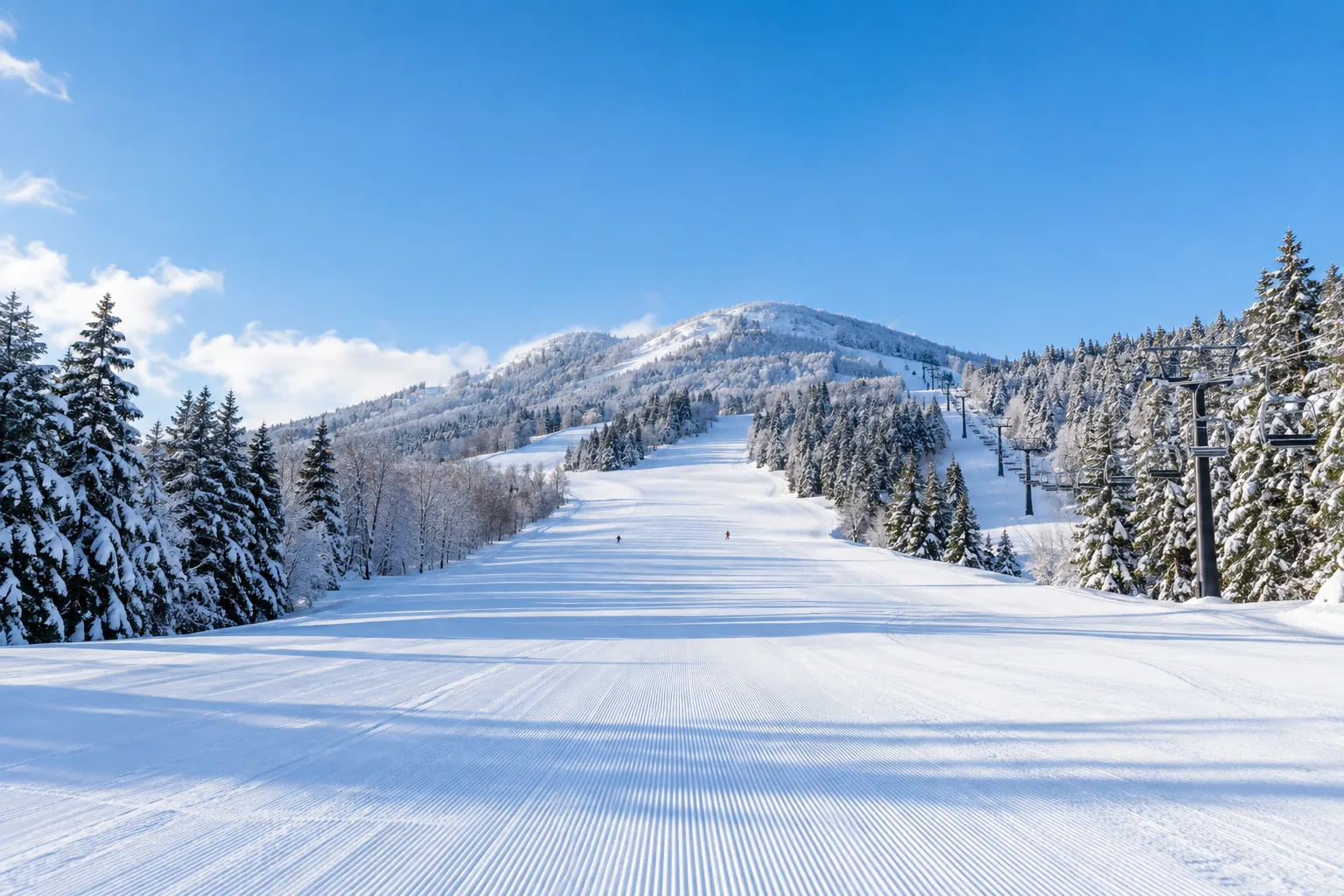 冬のゲレンデ。白い雪と、雪をかぶったもみの木