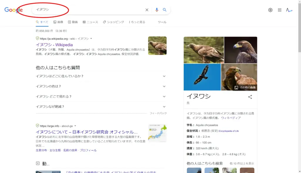 イヌワシ検索